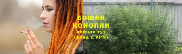 прущие грибы Анжеро-Судженск