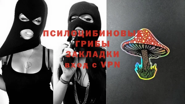 бутират Анива