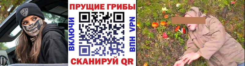 hydra ссылка Кашин сайты даркнета наркотические препараты наркота Галлюциногенные грибы GOLDEN TEACHER