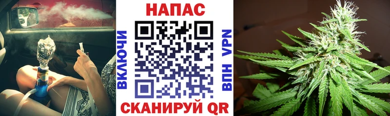 Каннабис конопля  блэк спрут ССЫЛКА  Кашин  цена наркотик 